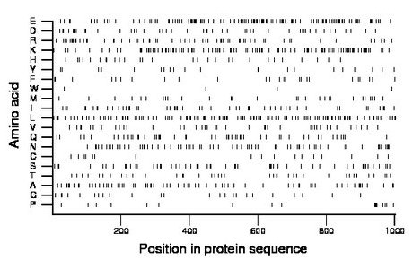 amino acid map