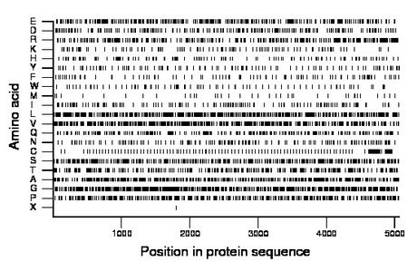 amino acid map