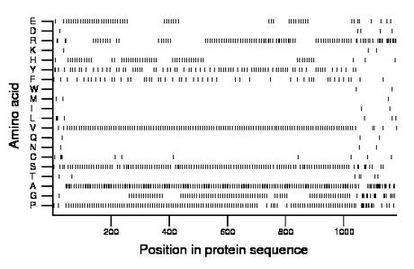 amino acid map