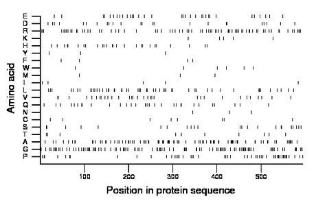 amino acid map