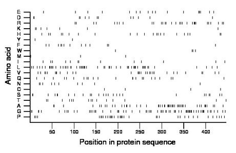 amino acid map