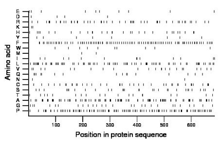 amino acid map