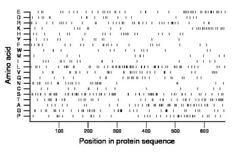 amino acid map