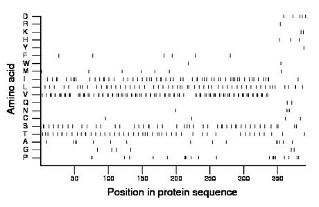 amino acid map