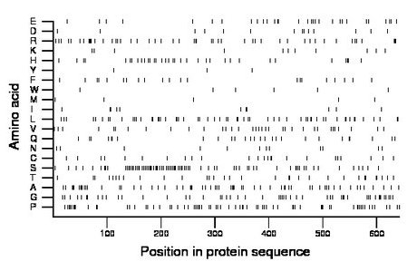 amino acid map