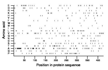 amino acid map