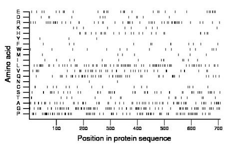 amino acid map