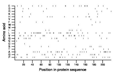 amino acid map