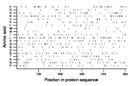 amino acid map