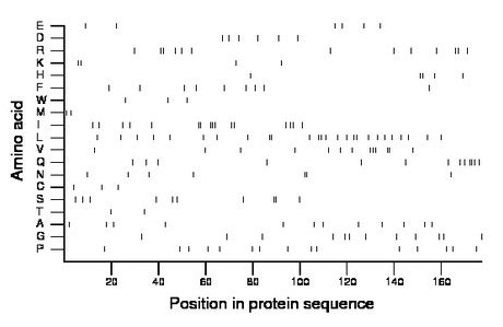 amino acid map