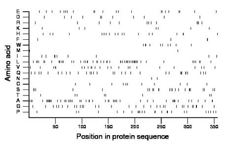 amino acid map