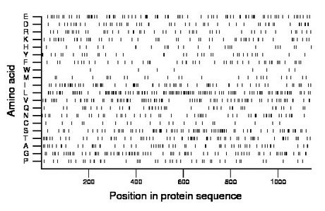 amino acid map