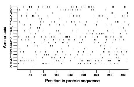 amino acid map