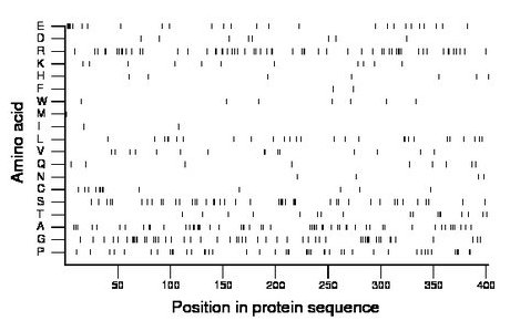 amino acid map