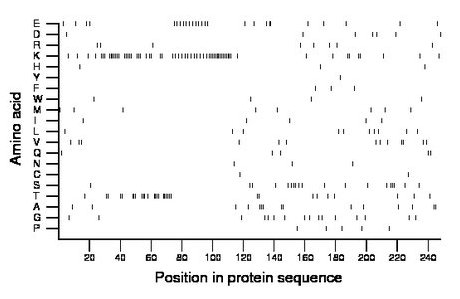 amino acid map