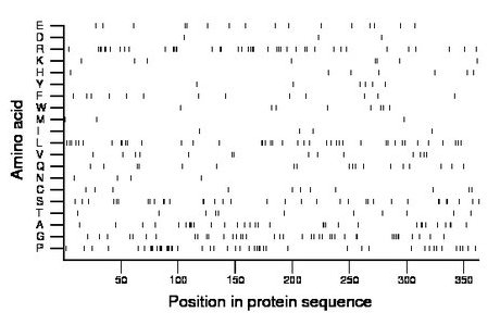 amino acid map