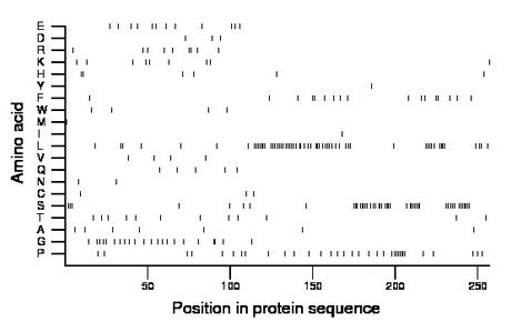 amino acid map