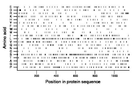 amino acid map