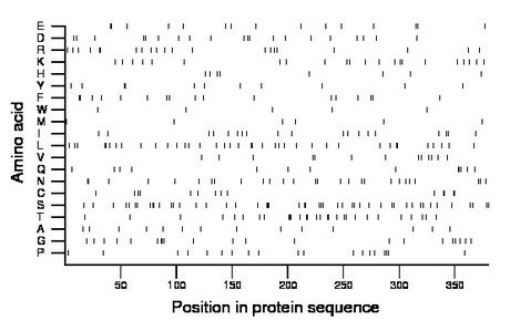 amino acid map