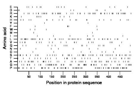 amino acid map