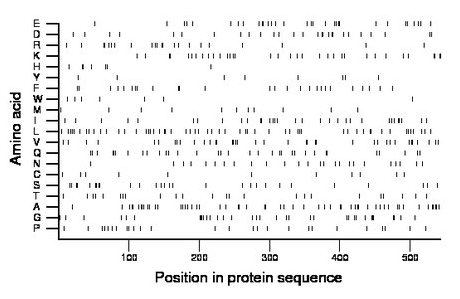 amino acid map