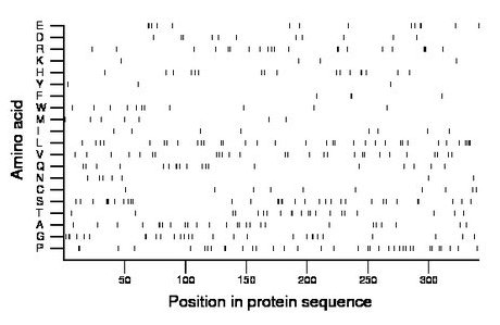 amino acid map