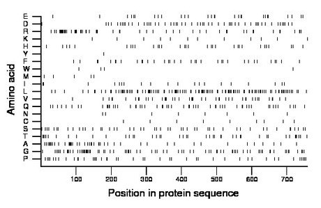 amino acid map