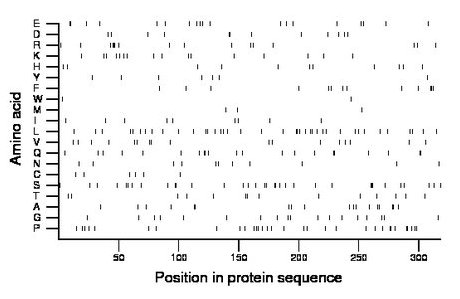 amino acid map