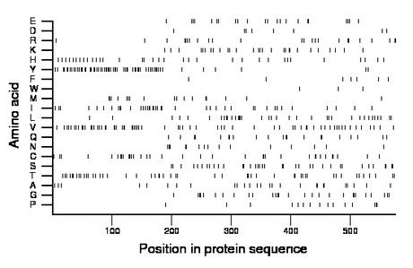 amino acid map