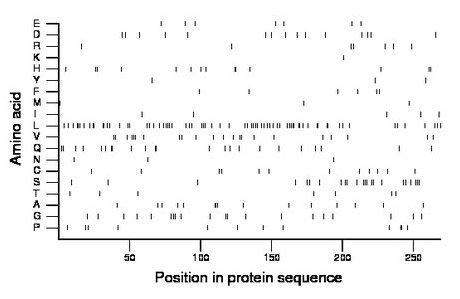 amino acid map