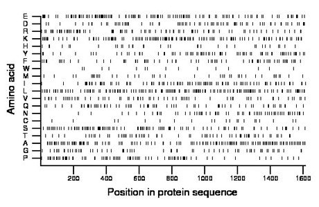 amino acid map