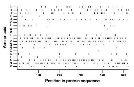 amino acid map