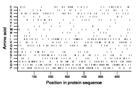 amino acid map