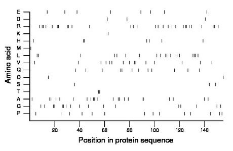 amino acid map