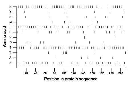 amino acid map