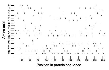 amino acid map