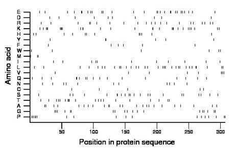 amino acid map