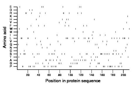 amino acid map