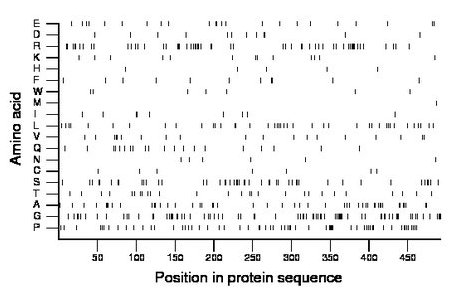 amino acid map