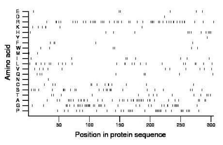 amino acid map