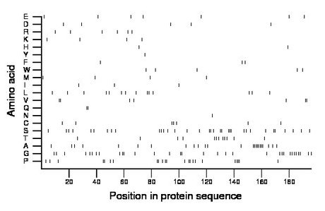 amino acid map