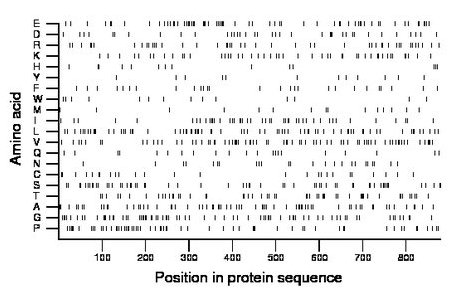 amino acid map