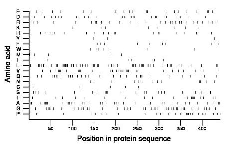 amino acid map