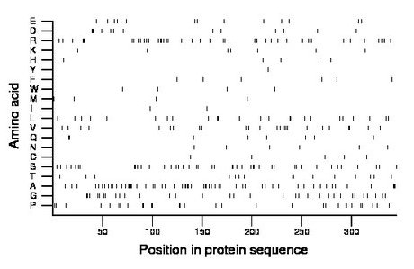 amino acid map