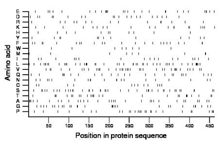 amino acid map