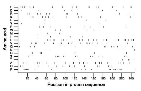 amino acid map