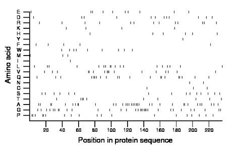 amino acid map