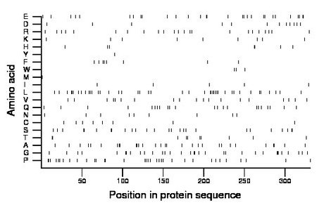 amino acid map