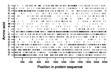 amino acid map