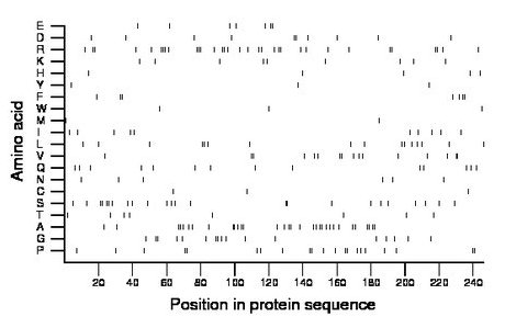 amino acid map